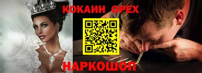 шишки Славгород