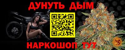 шишки Славгород