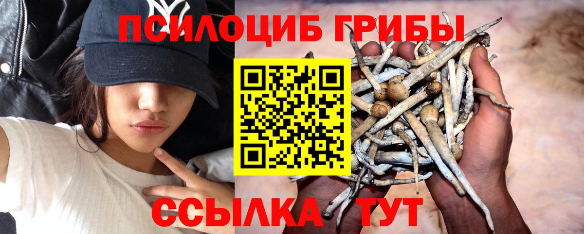 Псилоцибиновые грибы Magic Shrooms  Вход с VPN  Полысаево 