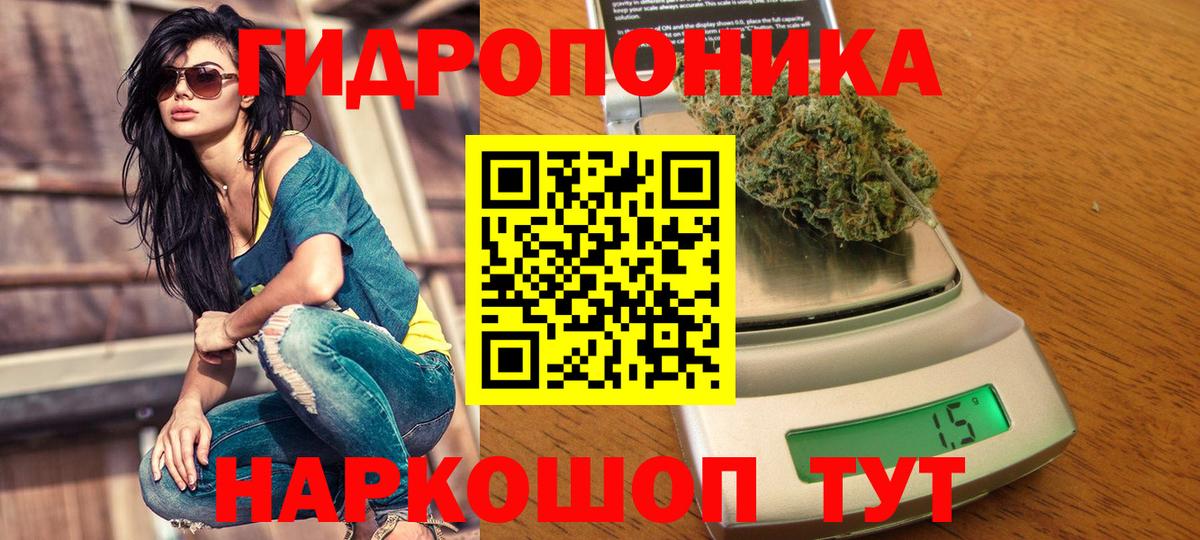 Конопля марихуана Полысаево